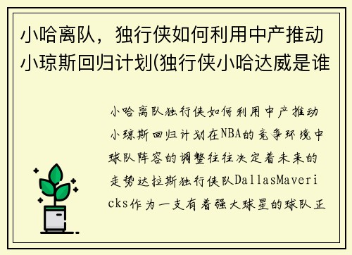 小哈离队，独行侠如何利用中产推动小琼斯回归计划(独行侠小哈达威是谁)